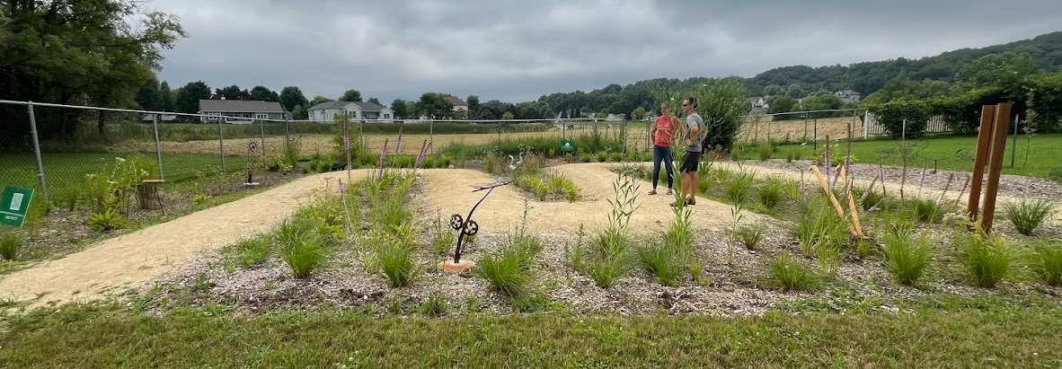 Plants are still establishing themselves in this rain garden, but once they are fully grown they will be lush and blooming!